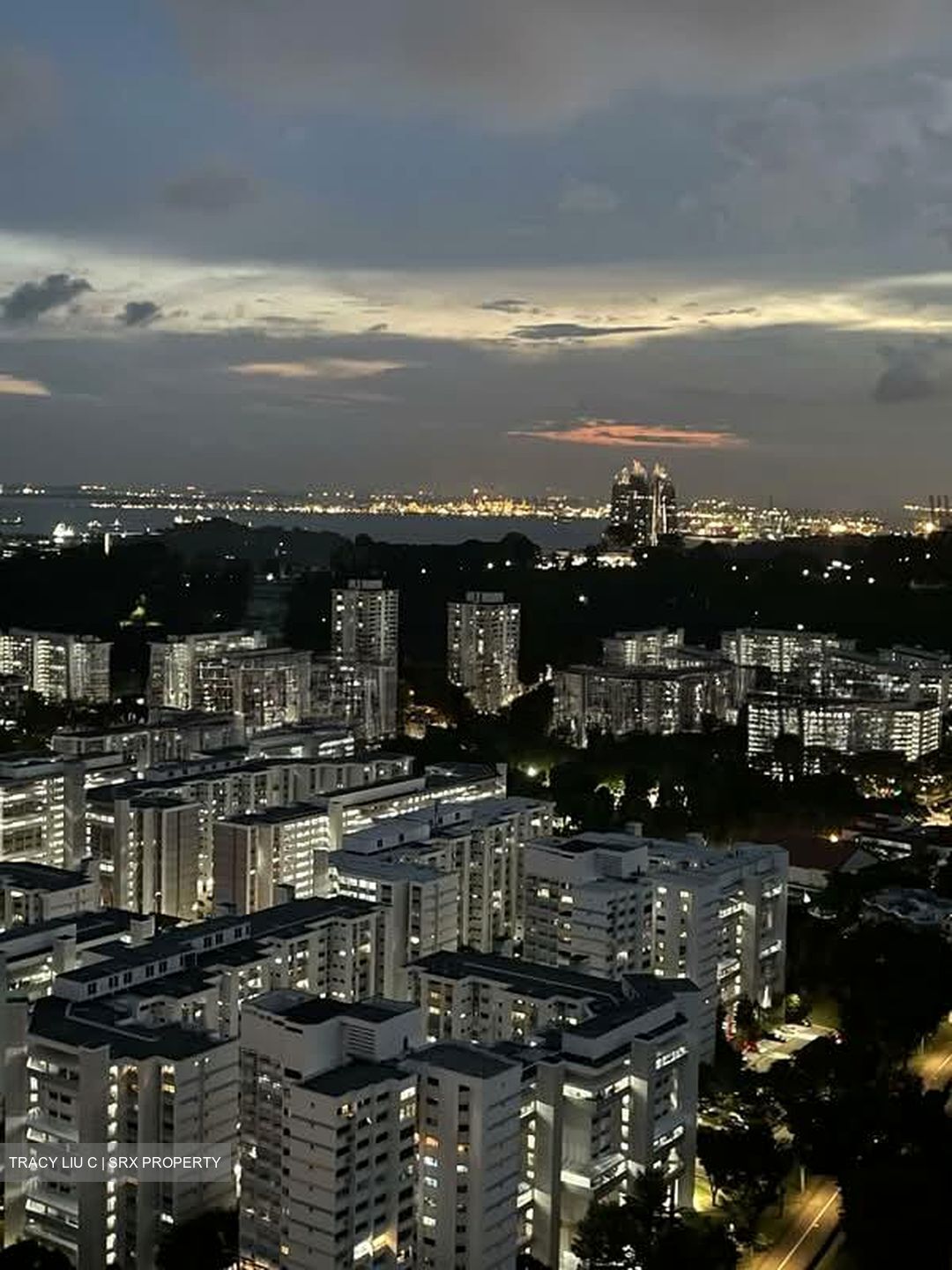 Avenue South Residence (D3), Apartment #595181641